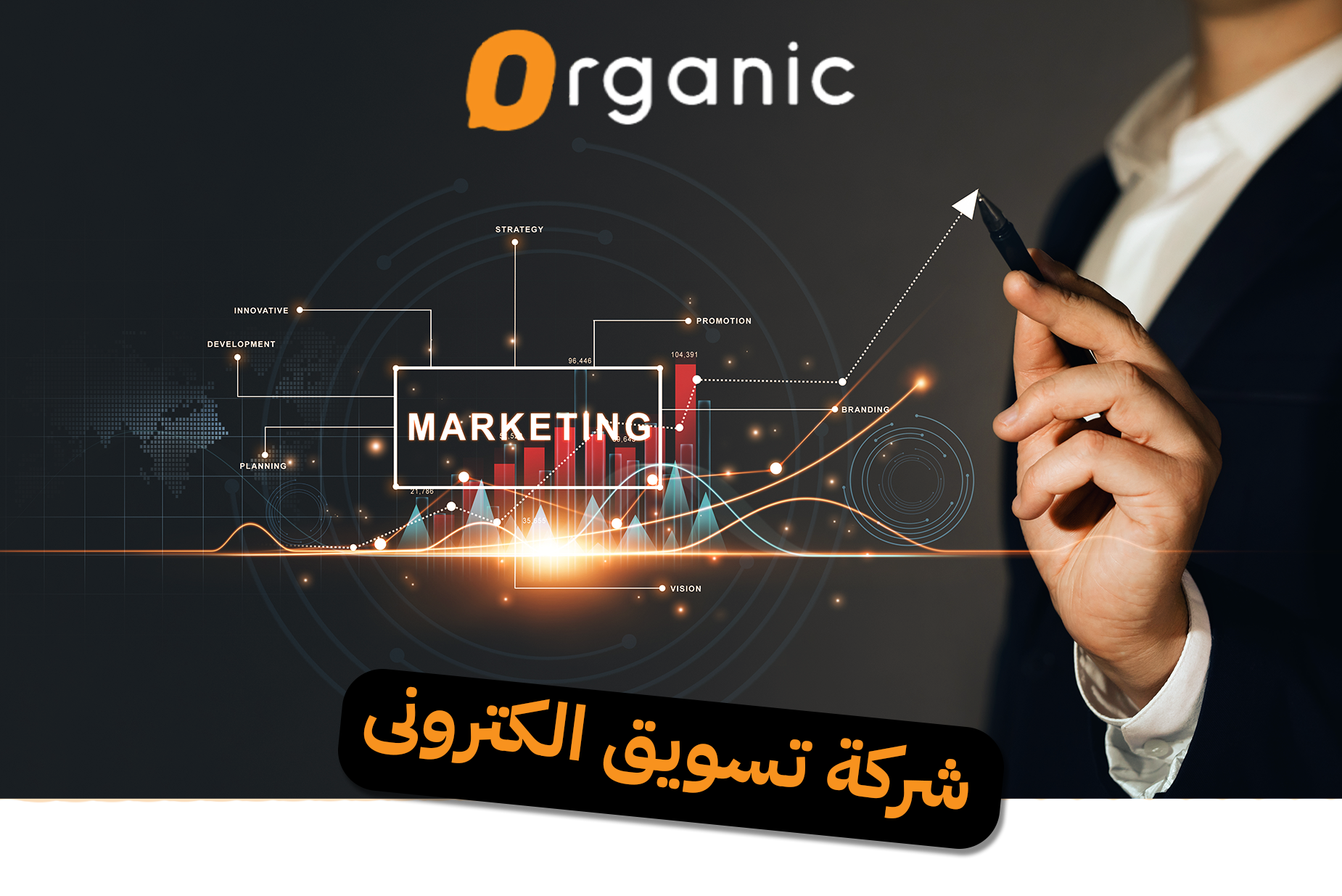 شركة تسويق الكترونى