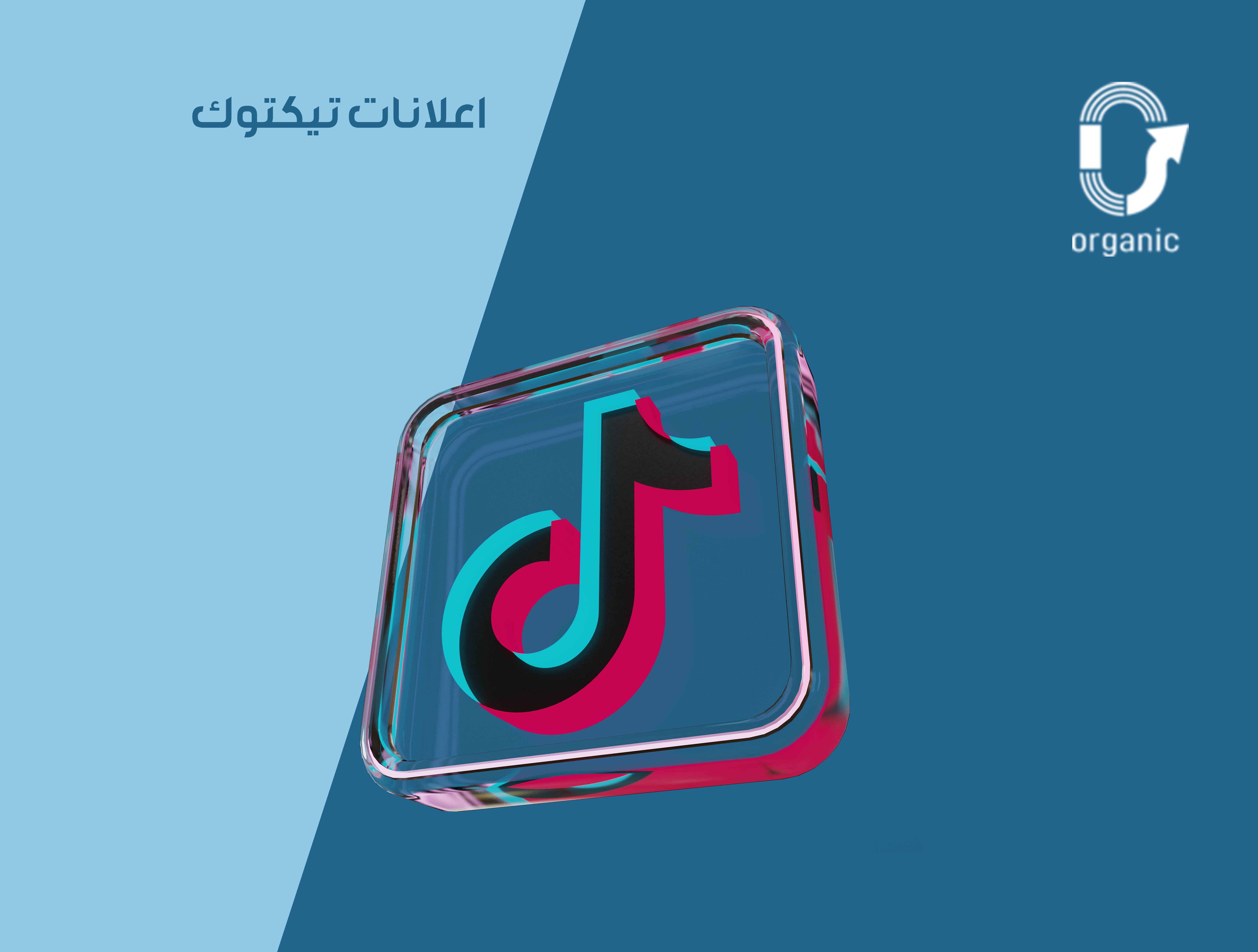 اعلانات تيكتوك
