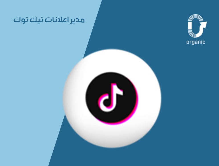 مدير اعلانات تيك توك