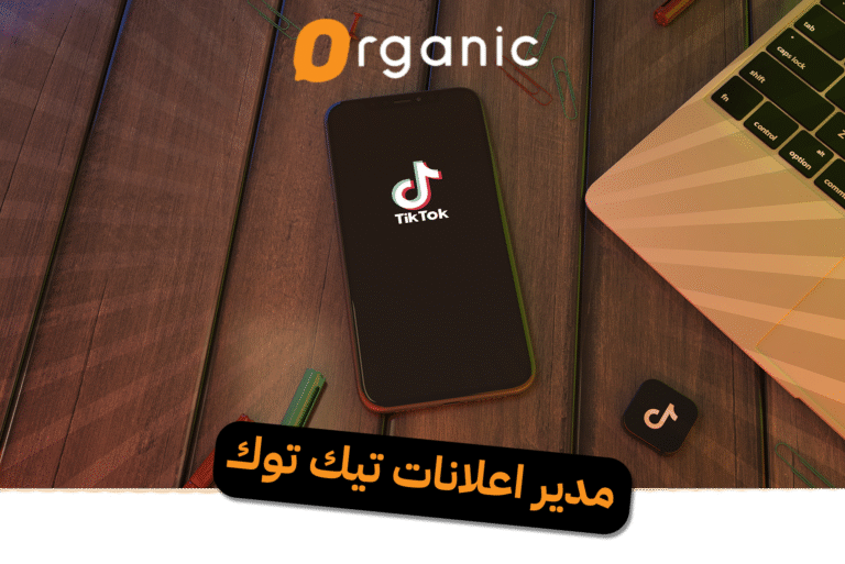 مدير اعلانات تيك توك