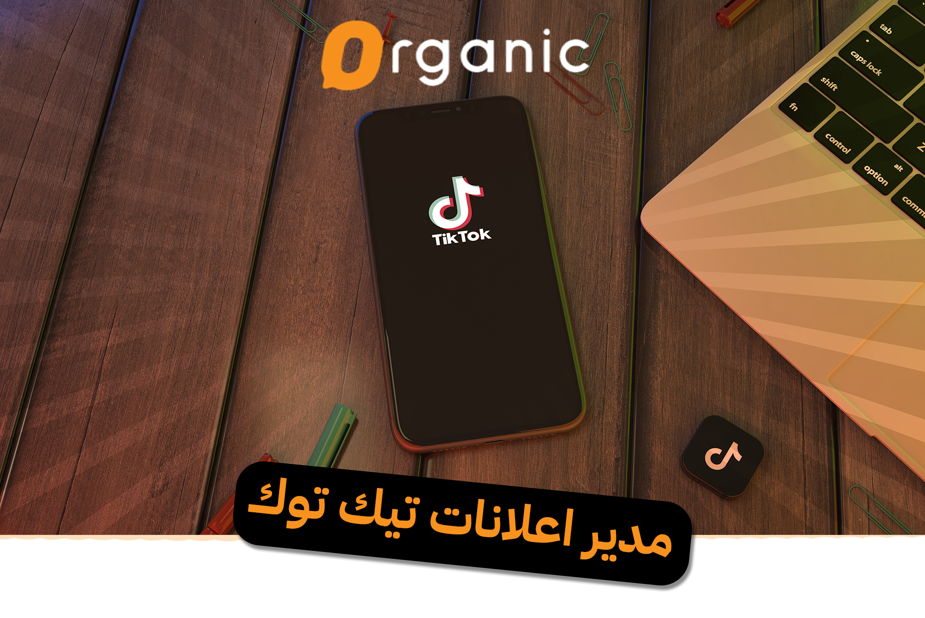 مدير اعلانات تيك توك