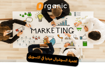 أهمية السوشيال ميديا في التسويق الرقمي: كيف تؤثر المنصات الاجتماعية في بناء العلامات التجارية وزيادة التفاعل مع الجمهور