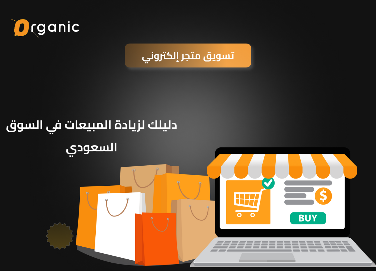 الإعلانات الممولة